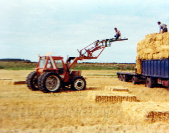 foto